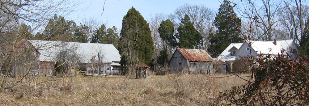 Henry Schnautz farm